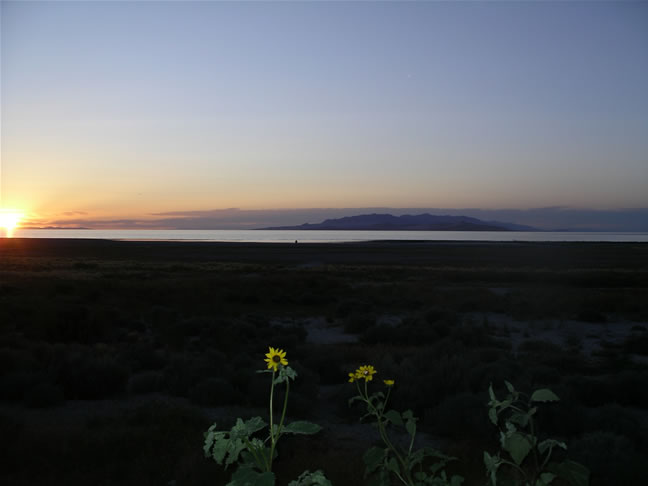 images/salt lake (8).jpg